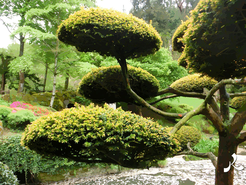 au jardin japonais…