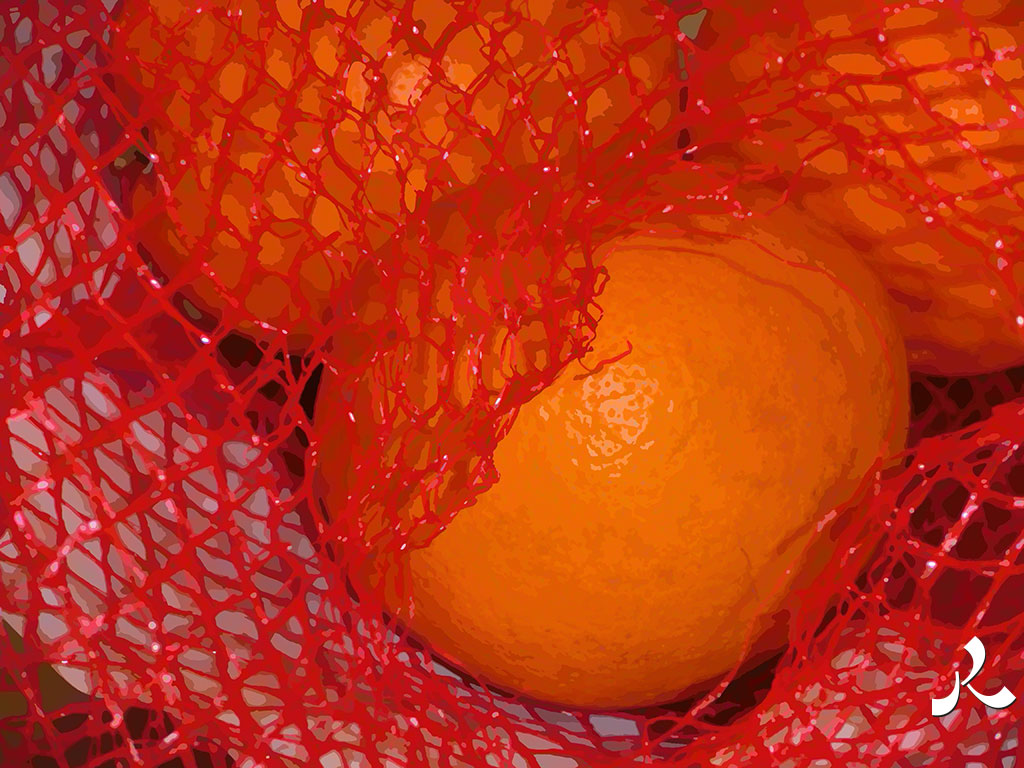 oranges prises au filet