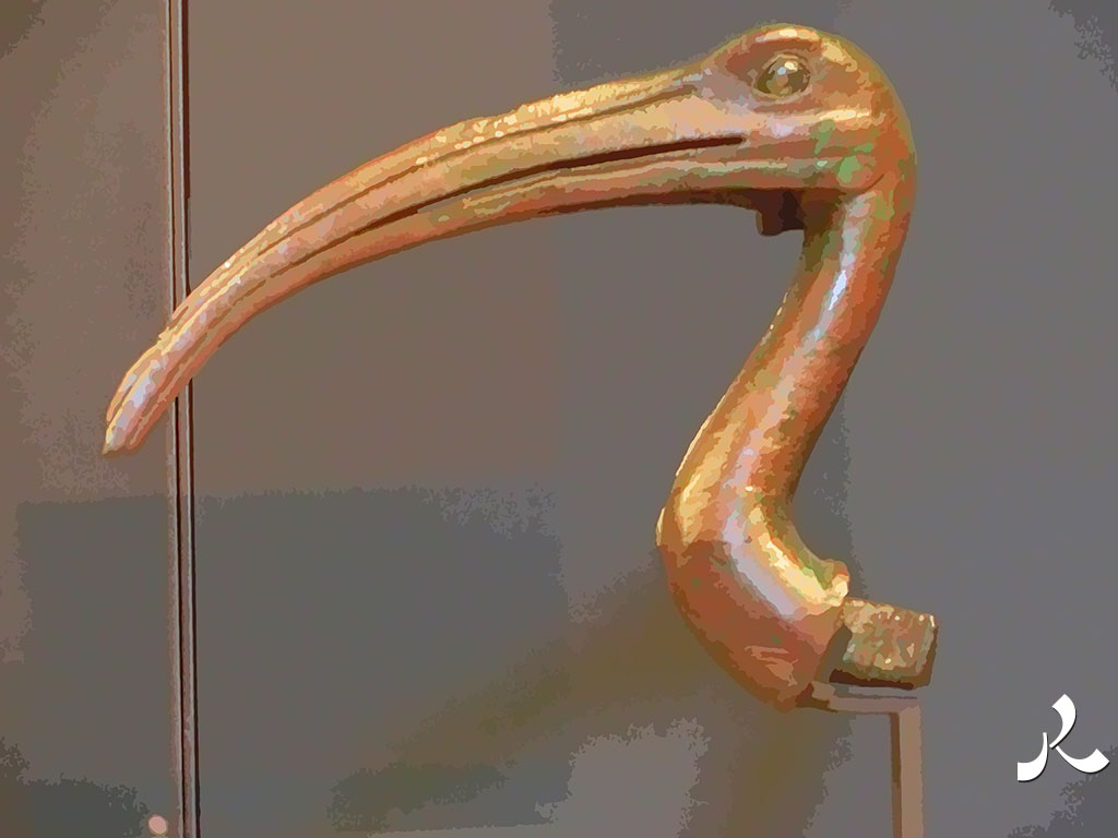 une tête d'ibis égyptien