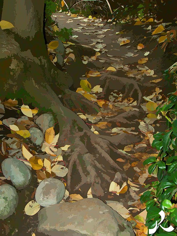 racines d'arbre en automne
