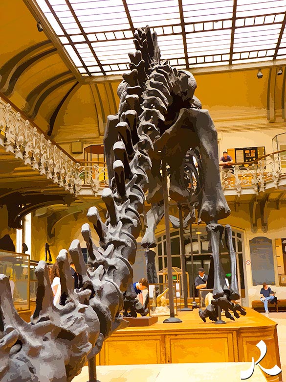 un squelette de dinosaure géant