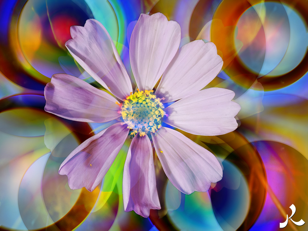 acrostiche sur ASSEZ