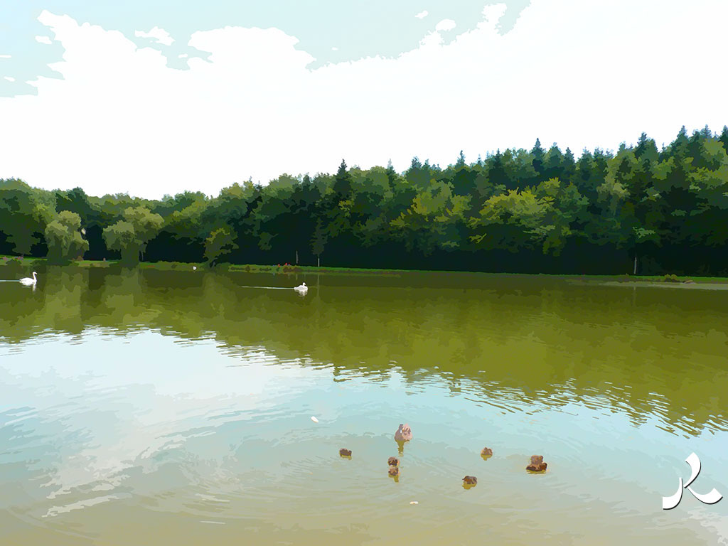 lac de la Nièvre, avec canards
