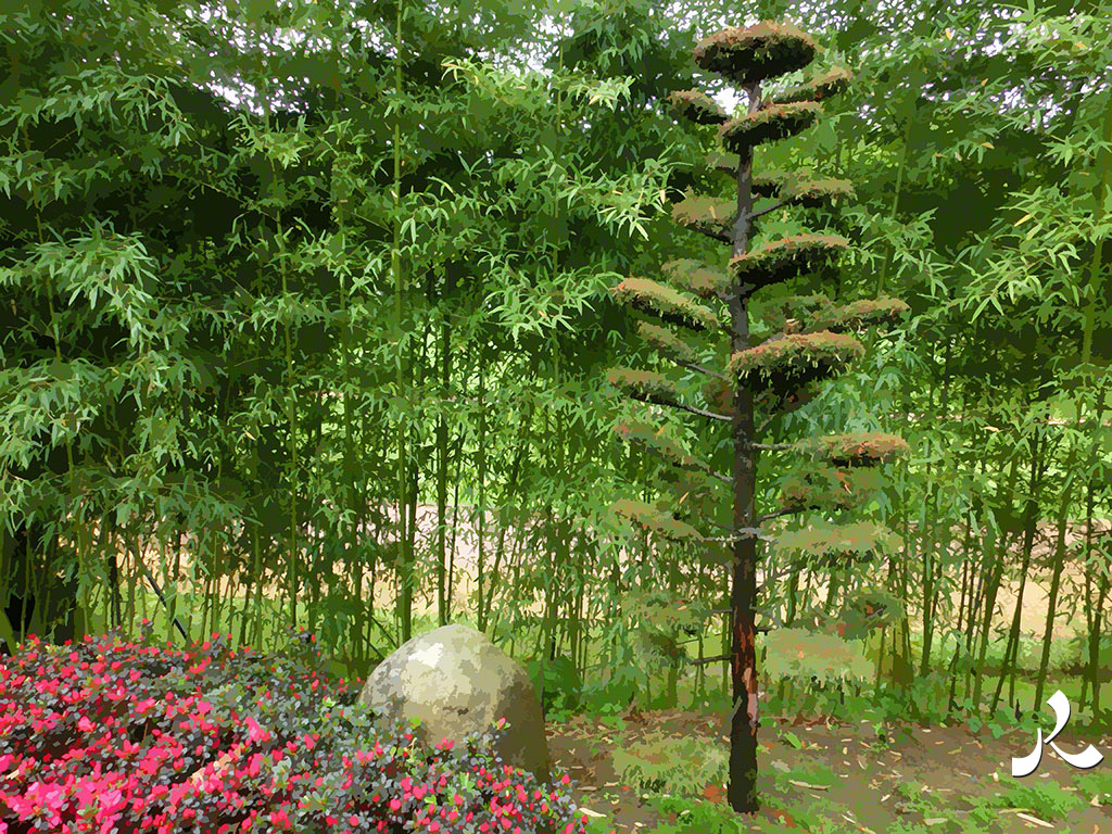 arbre taillé et bambous à Maulévrier