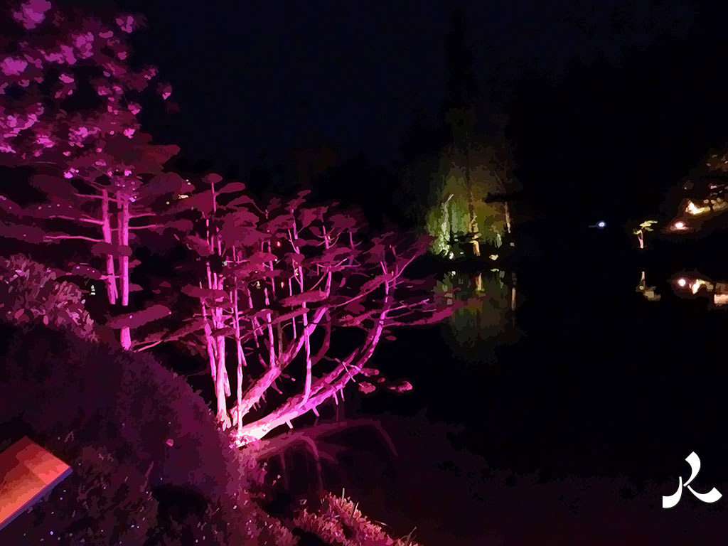 au Parc de Maulévrier, un arbre en chandelle rose