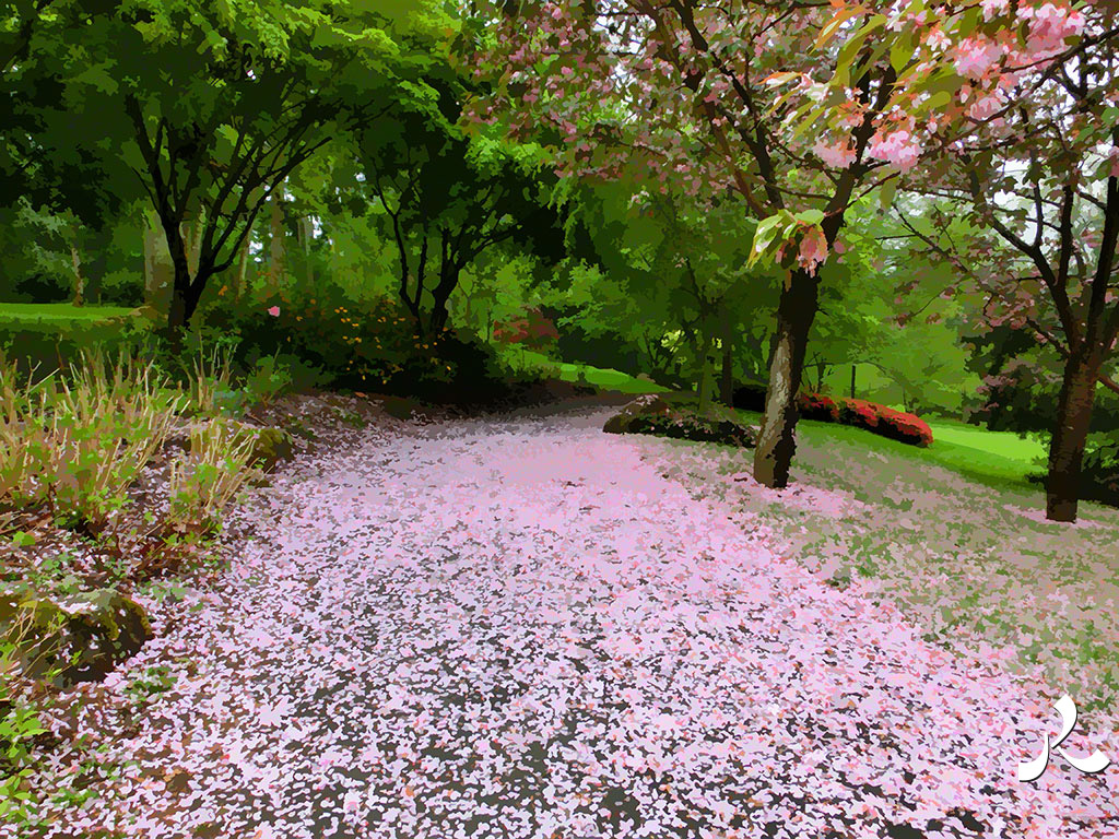une route jonchée de pétales roses à Maulévrier