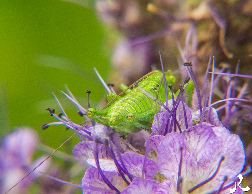 Des images et des maux…
