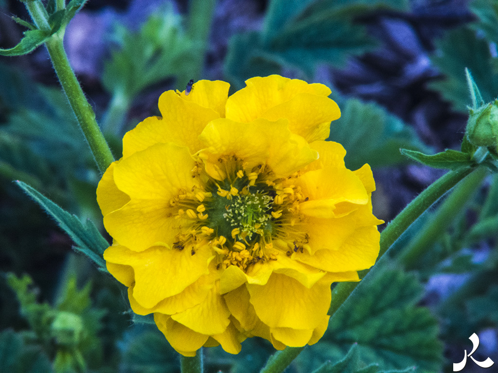 Des images et des maux…