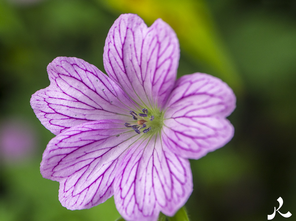 Des images et des maux…