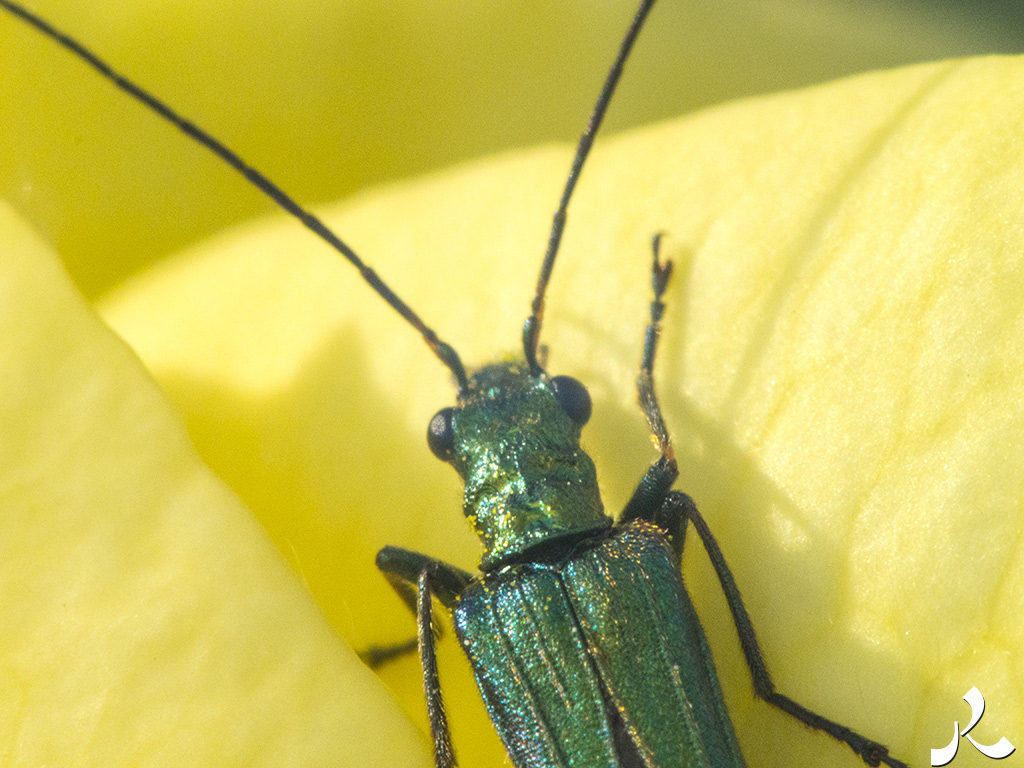 Des images et des maux…
