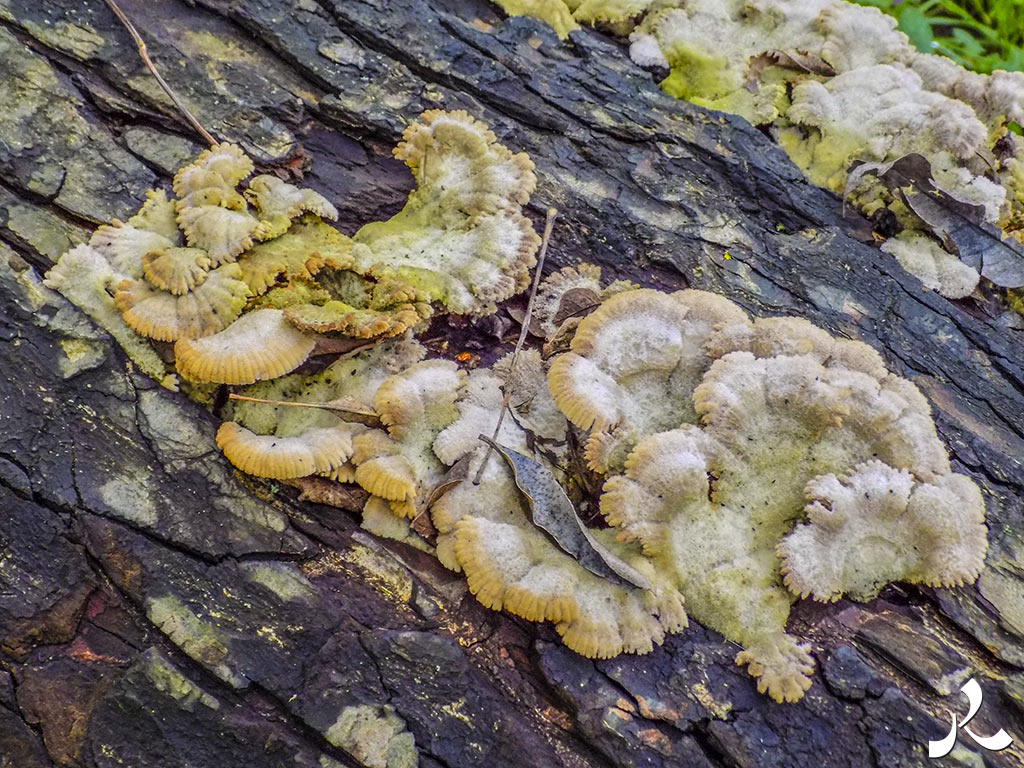 Des images et des maux…