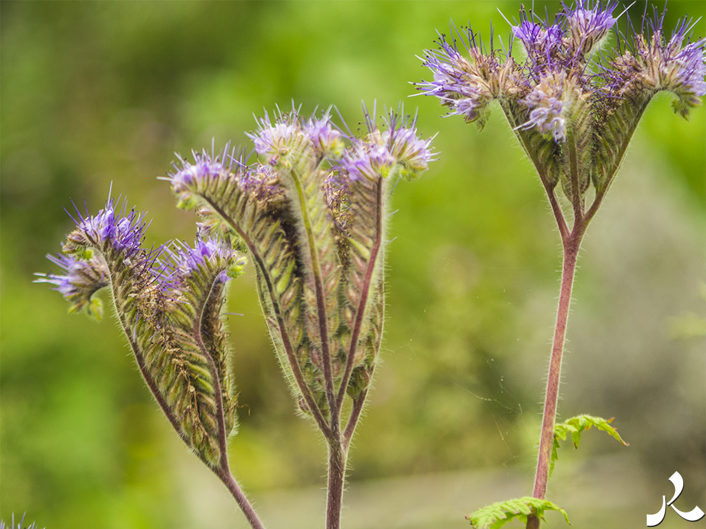 Des images et des maux…
