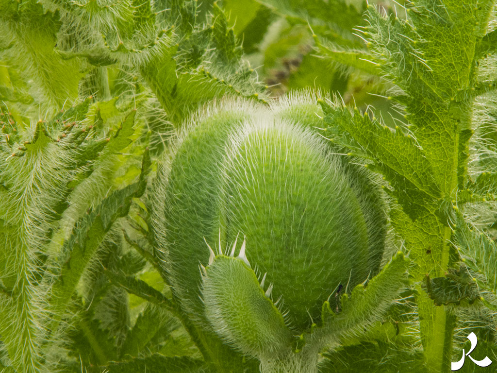 Des images et des maux…