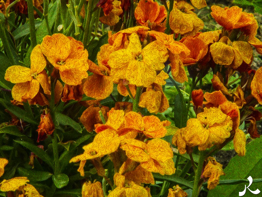 Des images et des maux…